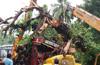 Cleaner dies, driver injured as tree falls on lorry